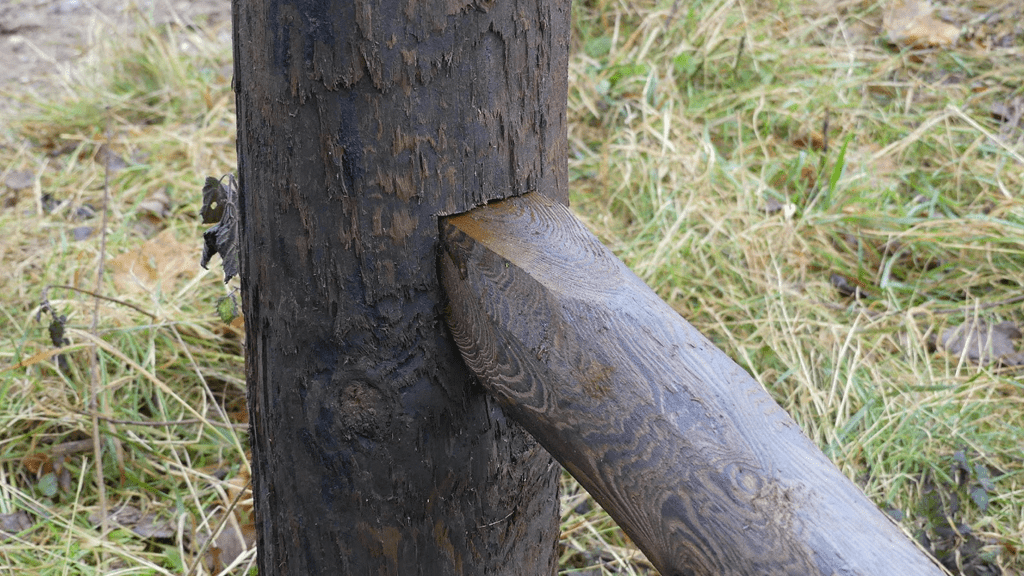 Rabbit Proof Fencing