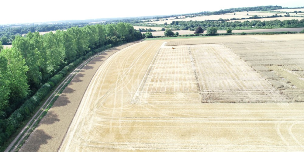 farmland
